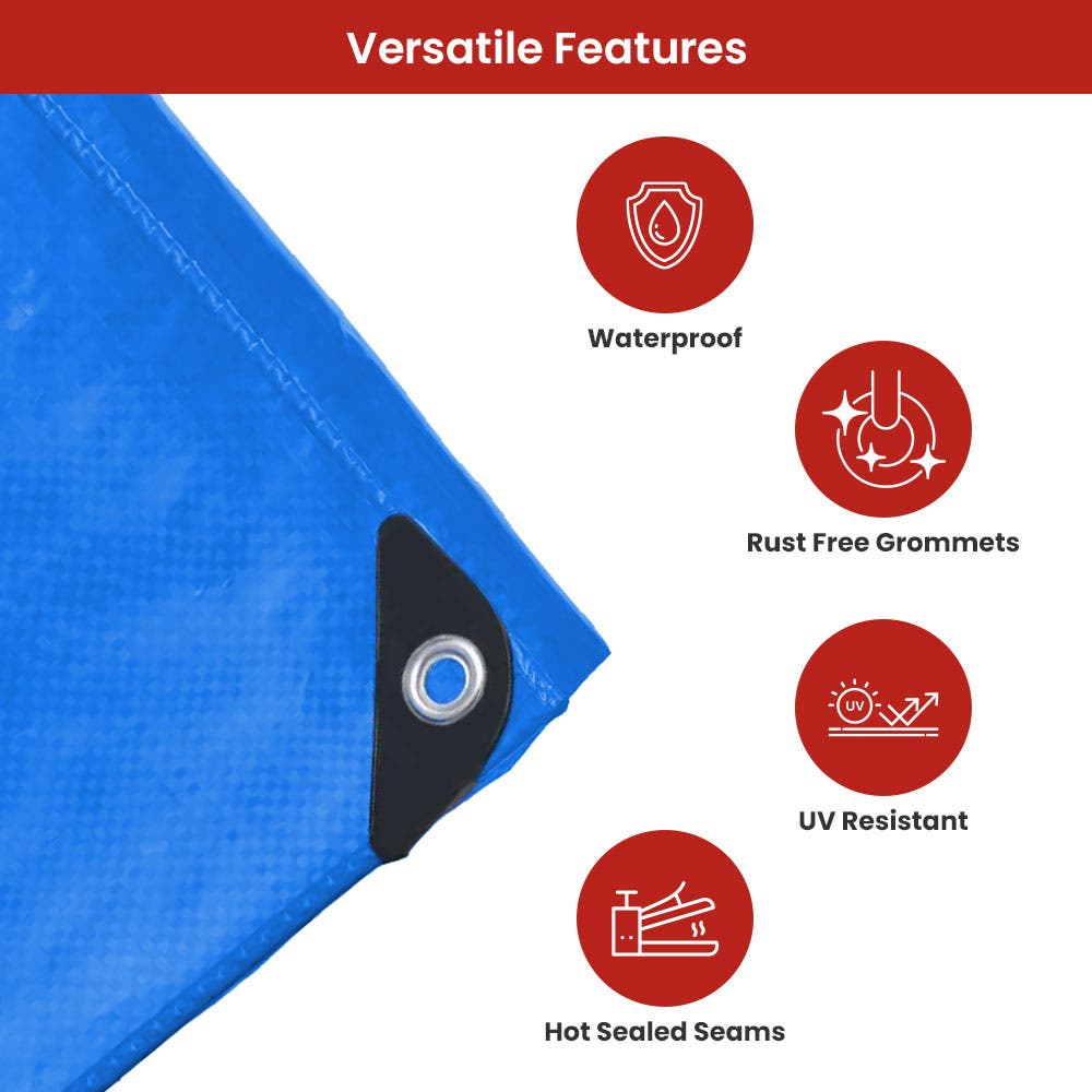 Custom Roof Tarpaulin