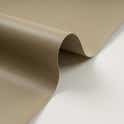 Color Beige